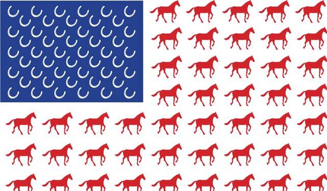 horse flag